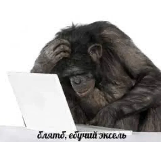 🧑‍💻 Стикер «Hehehehehehehehe» для Telegram