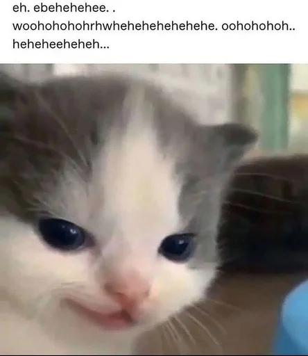 😼 Стикер «хехе» для Telegram