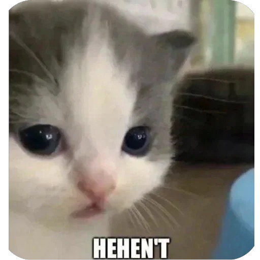 🫥 Стикер «хехе» для Telegram