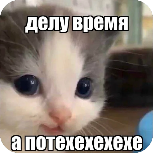 😂 Стикер «хехе» для Telegram