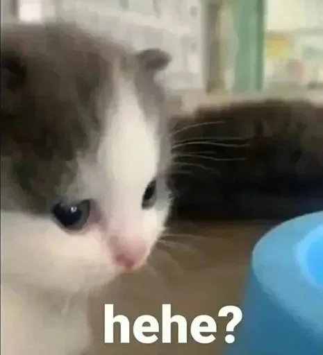 🙇‍♀️ Стикер «хехе» для Telegram