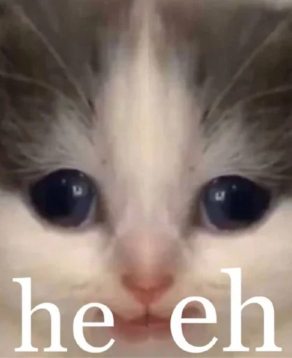 😺 Стикер «хехе» для Telegram