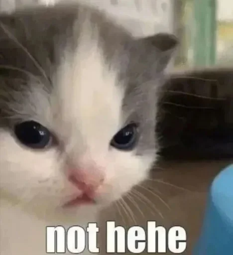 😾 Стикер «хехе» для Telegram