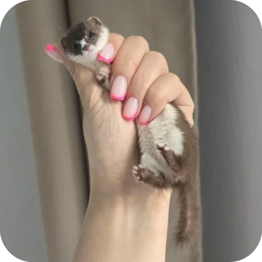 🤲 Стикер «*is hold*» для Telegram