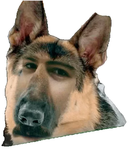 🐕 Стикер «HellCopter» для Telegram