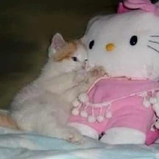 🤗 Стикер «Hello kitty pank» для Telegram