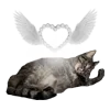 Стикер 14 Is Hello Kitty