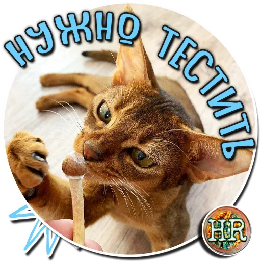 😉 Стикер «HempRoom?» для Telegram