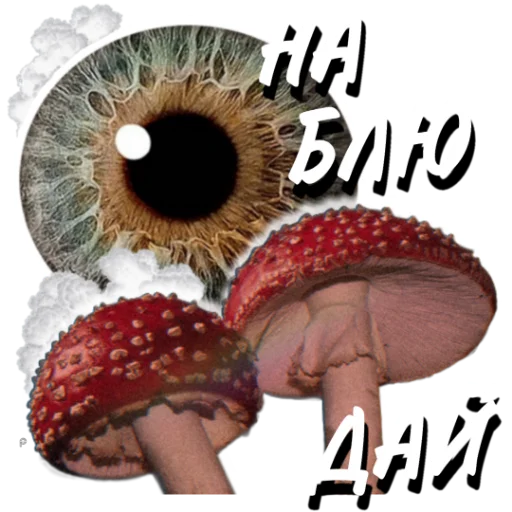 👀 Стикер «HempRoom?» для Telegram