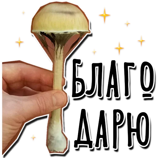 🙏 Стикер «HempRoom?» для Telegram