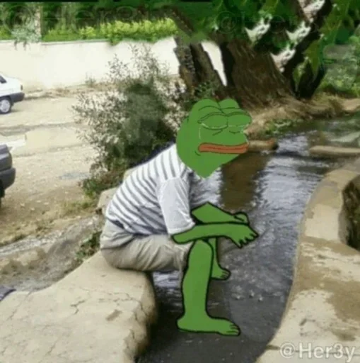 🐸 Стикер «Pepe ? -» для Telegram
