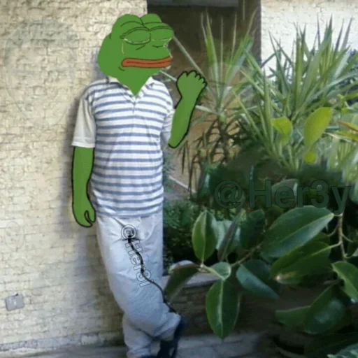 🐸 Стикер «Pepe ? -» для Telegram
