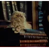 Стикер 24 Hermione Granger