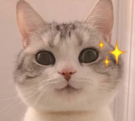 🙃 Стикер «核心支付官方群组第二期» для Telegram