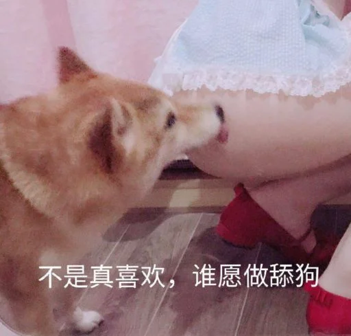 😍 Стикер «核心支付官方群组第二期» для Telegram