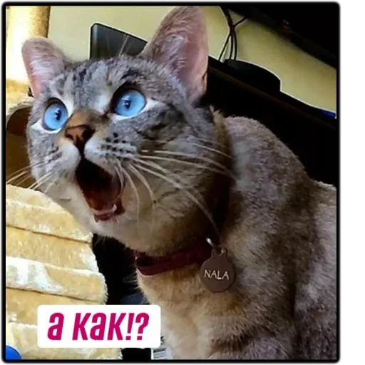 😨 Стикер «Ого-го-го» для Telegram