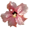 Стикер 59 Hibiscus Flower