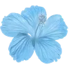Стикер 10 Hibiscus Flower
