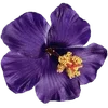 Стикер 38 Hibiscus Flower