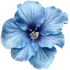 Стикер 48 Hibiscus Flower