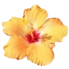 Стикер 4 Hibiscus Flower