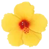 Стикер 13 Hibiscus Flower