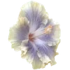 Стикер 22 Hibiscus Flower