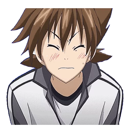 😣 Стикер «HIGH SCHOOL DXD» для Telegram