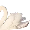 Стикер 28 𐌗ᥙᥰᥰᥙ ʙᥲᥔΔᥙΚ