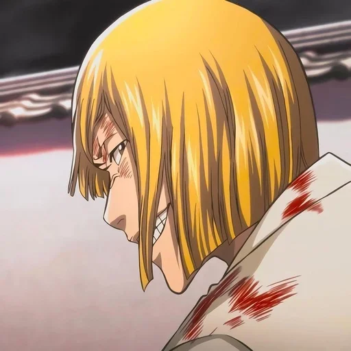 🌼 Стикер «Shinji Hirako» для Telegram