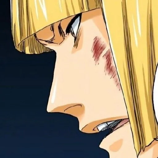 🌼 Стикер «Shinji Hirako» для Telegram