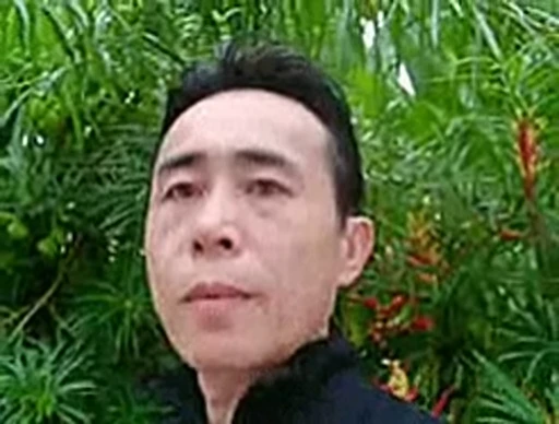 🙄 Стикер «平沢進» для Telegram
