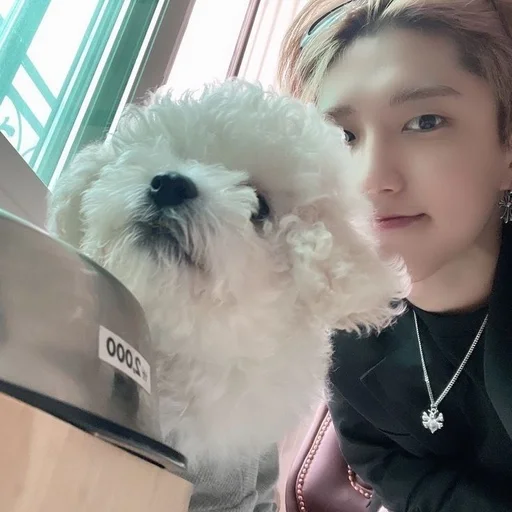 🦷 Стикер «han jisung» для Telegram