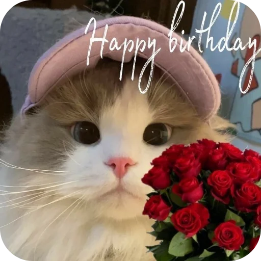 🐱 Стикер «Хлебушек» для Telegram