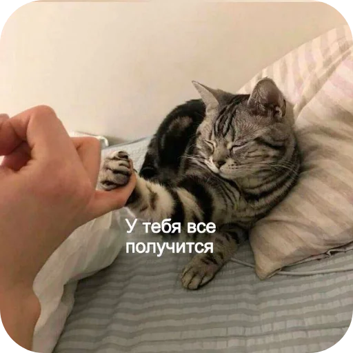 🐱 Стикер «Хлебушек» для Telegram