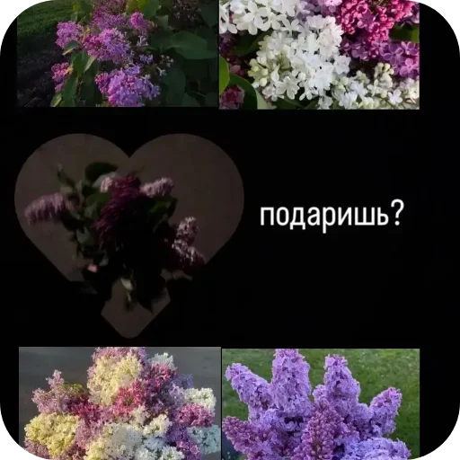 🌸 Стикер «Хлебушек» для Telegram