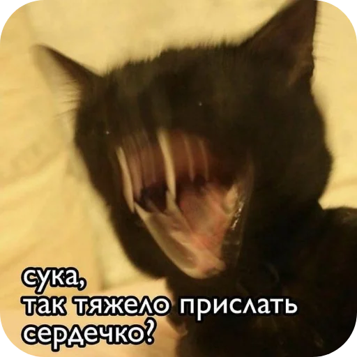 🐱 Стикер «Хлебушек» для Telegram
