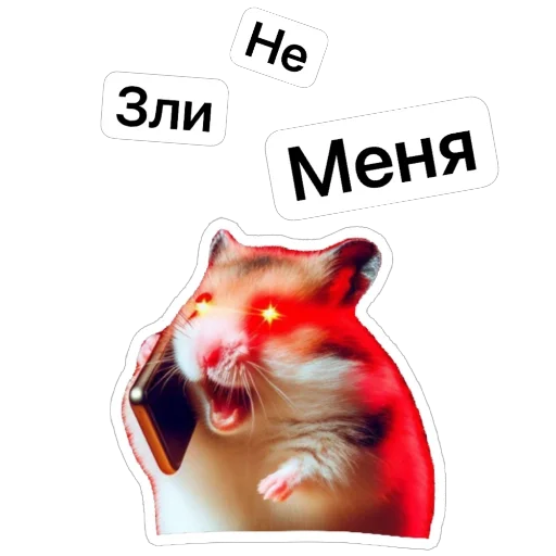 🤬 Стикер «Hamster Kombat» для Telegram
