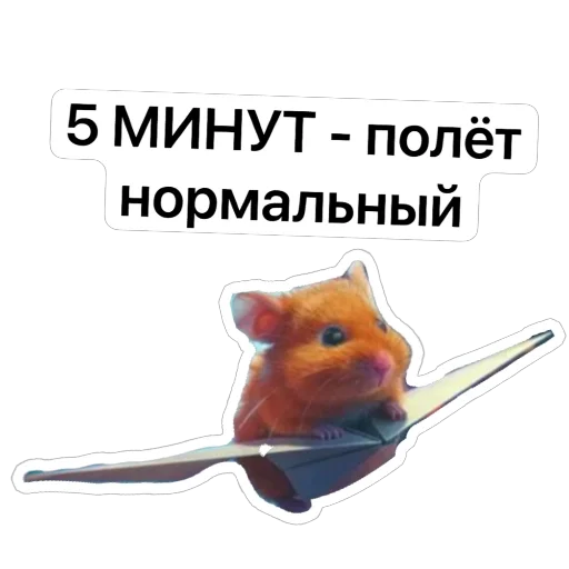 🔥 Стикер «Hamster Kombat» для Telegram
