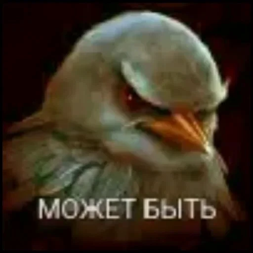 🤩 Стикер «Hamster capybara and bird mem» для Telegram