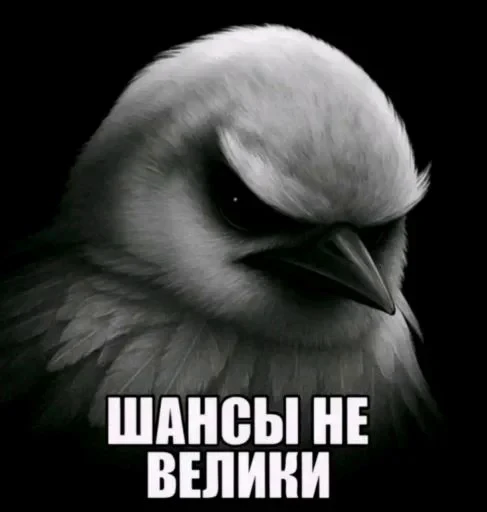🤩 Стикер «Hamster capybara and bird mem» для Telegram