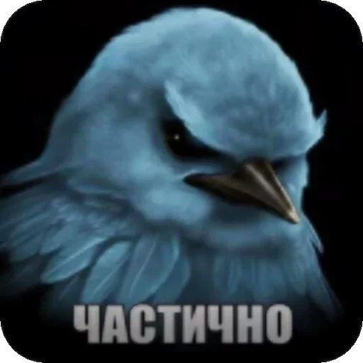 🐦 Стикер «Hamster capybara and bird mem» для Telegram