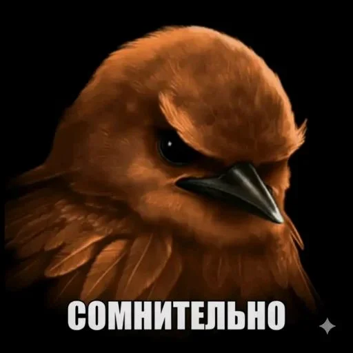 🤩 Стикер «Hamster capybara and bird mem» для Telegram