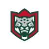 🇷🇺 Эмодзи «Хоккей NHL и KHL» для Telegram