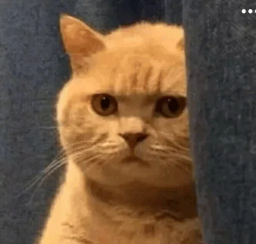 😞 Стикер «Хохотульки» для Telegram