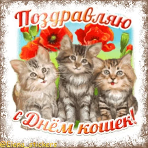 😽 Стикер «Праздники августа, кроме Спасов» для Telegram
