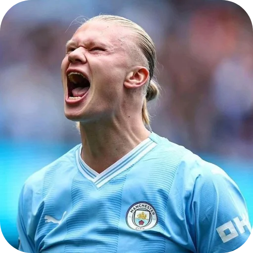 🔥 Стикер «Erling Haaland» для Telegram