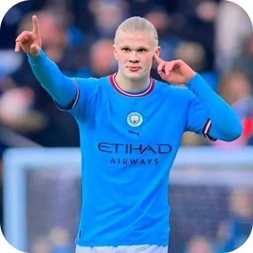 👆 Стикер «Erling Haaland» для Telegram