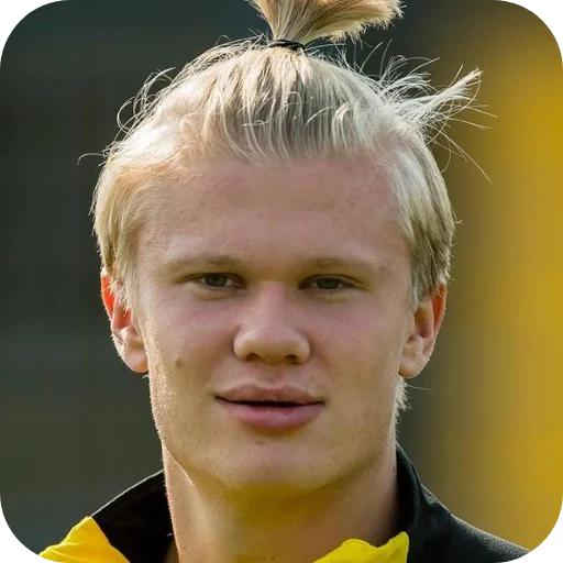 Стикерпак Erling Haaland для Telegram