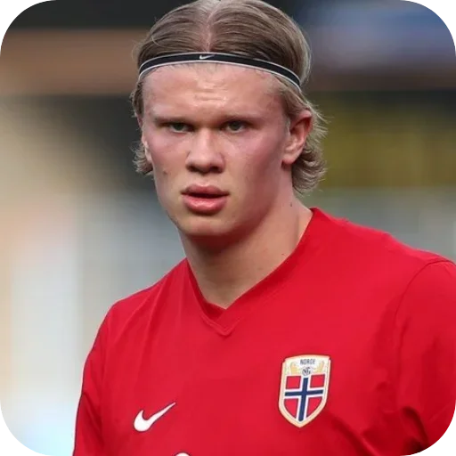 🔥 Стикер «Erling Haaland» для Telegram